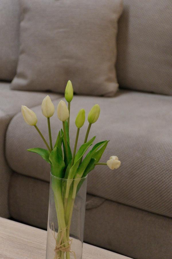 Apartment Anna - Free Pickup From Or Dropoff To Zagreb Airport At Any Time, Please Give Three Days Advance Notice - Long-Term Parking With Airport Transport Possibility Velika Gorica Exteriér fotografie